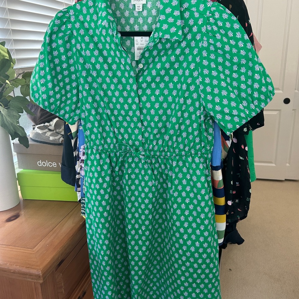 JCrew Factory Green Floral Dress